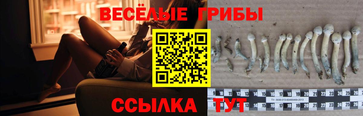 Воскресенск  Галлюциногенные грибы MAGIC MUSHROOMS  Вход с VPN  Псилоцибиновые грибы Psilocybe 